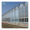 Multi Span Polycarbonate Greenhouses for Vegeatable Planting